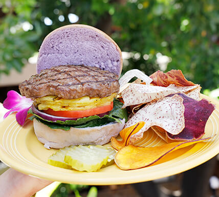 Hula Burger Buffet Lunch Event