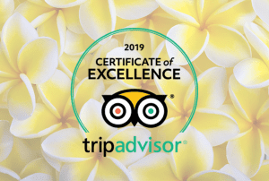 2019 certificate of excellence
